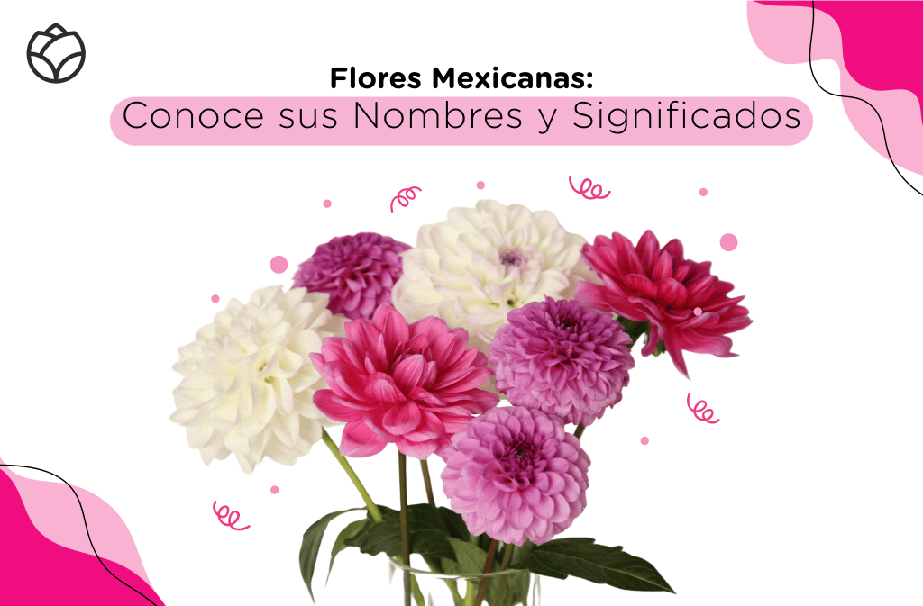 flores mexicanas y su significado