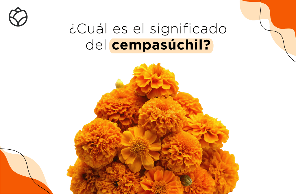 qué significa la flor de cempasúchil