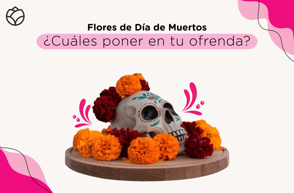 flores para día de muertos